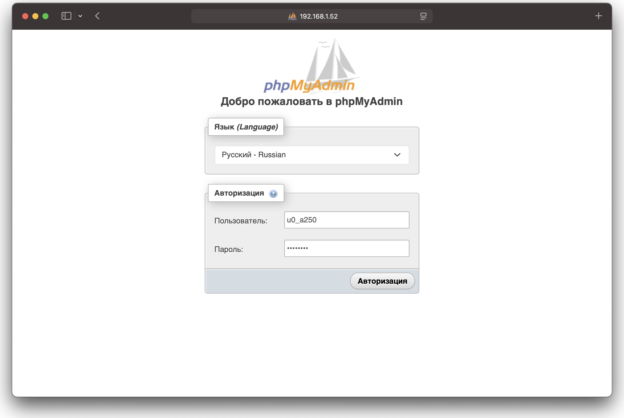 WebTermux - phpMyAdmin
