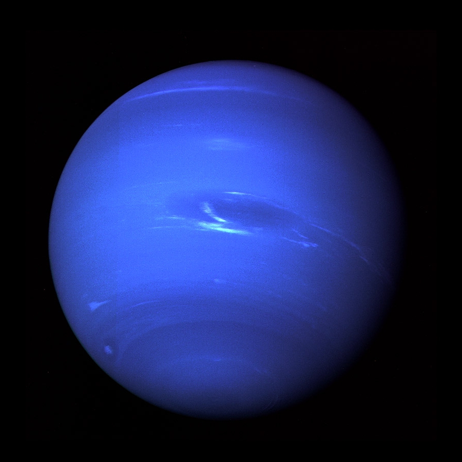 Neptute